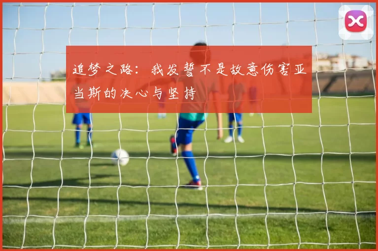 追梦之路：我发誓不是故意伤害亚当斯的决心与坚持